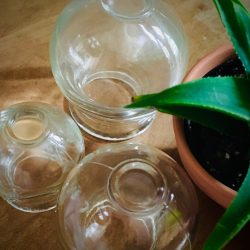 cupping glass and aloe
